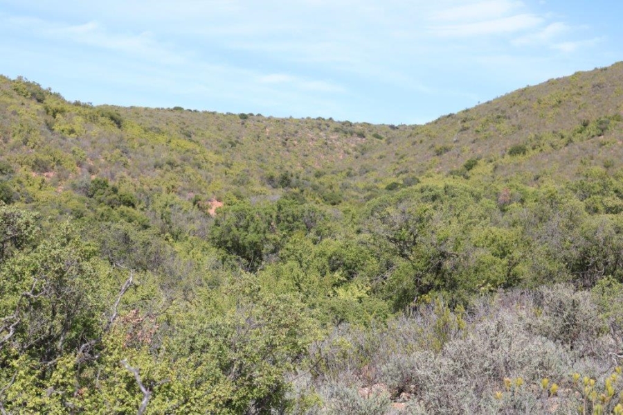 Commercial Property for Sale in Oudtshoorn Rural Western Cape